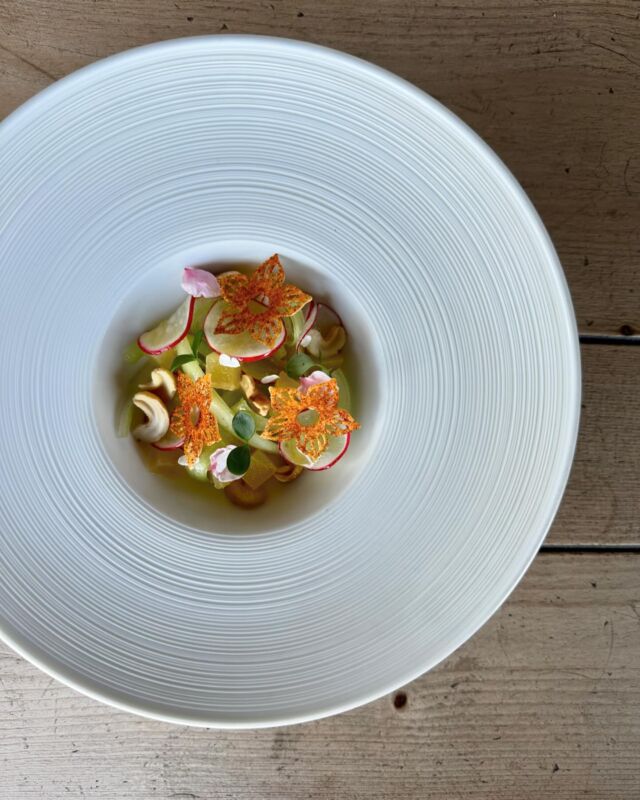 Dove è finita la primavera? 🌼

Vieni a cercarla in Horteria 💛

Insalatina primaverile: mele al sambuco, ravanelli, sedano, kefir, fiori di paprika, anacardi e dressing al miele