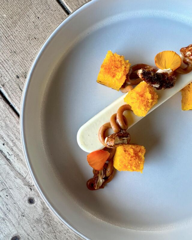 La più grande testimonianza del cambiamento di colore delle carote, la vediamo attraverso i quadri dei pittori spagnoli e fiamminghi del 1500. 🎨👨‍🎨

Essi erano soliti raffigurare scene di mercato, ad esempio nei dipinti di Peter Aertsen e Nicolaes Maes appaiono carote viola e gialle. Nel 1600, nei dipinti dei pittori olandesi, iniziano a comparire le prime carote arancioni, probabilmente derivanti da una mutazione spontanea. 

Secondo la leggenda, questa mutazione dal colore viola a quello arancione, è dovuta dal fatto che in quel periodo (1600 circa), in Olanda, regnavano gli Orange. Per questo, la terra ha voluto omaggiare la famiglia reale con questi ortaggi. 👑

E tu lo sapevi? 🙋🏼‍♀️🙋🏽‍♂️🙋🏻

#dessert #horteria #mirano #veneto #carote